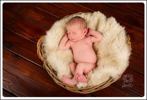 Newborn Baby Photography Pretoria1a005