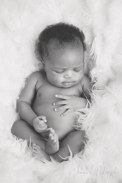 newborn baby photo studio in waverely