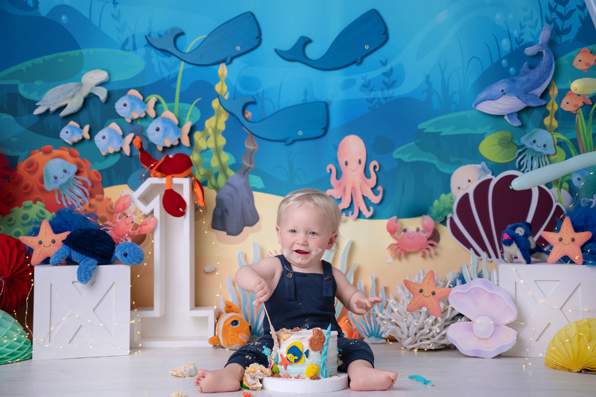is a cake smash worth baby on under the sea cake smash