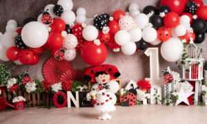 ladybug cake smash setup