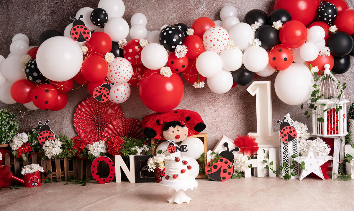 ladybug cake smash setup