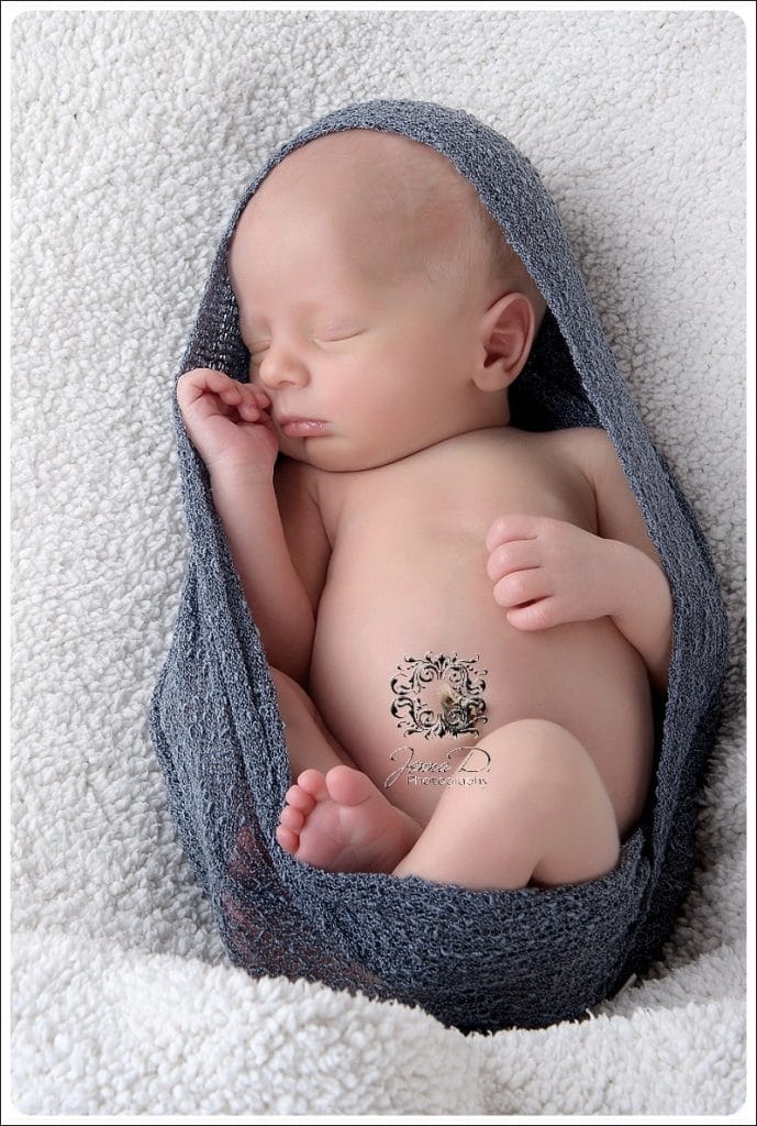 pta newborn photos