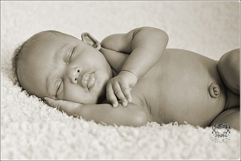 newborn photography0036