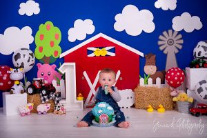 on the farm cake smash