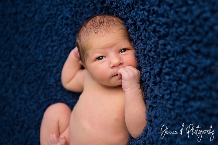 newborn baby photoshoot waverley