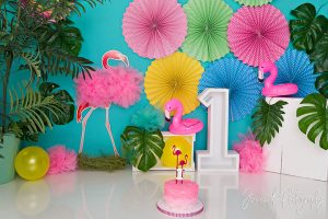 flamingo cake smash photoshoot
