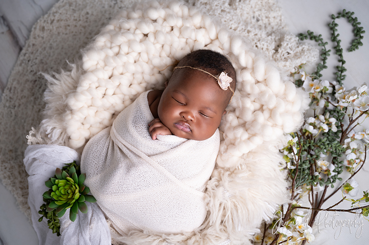 pretoria baby photographer