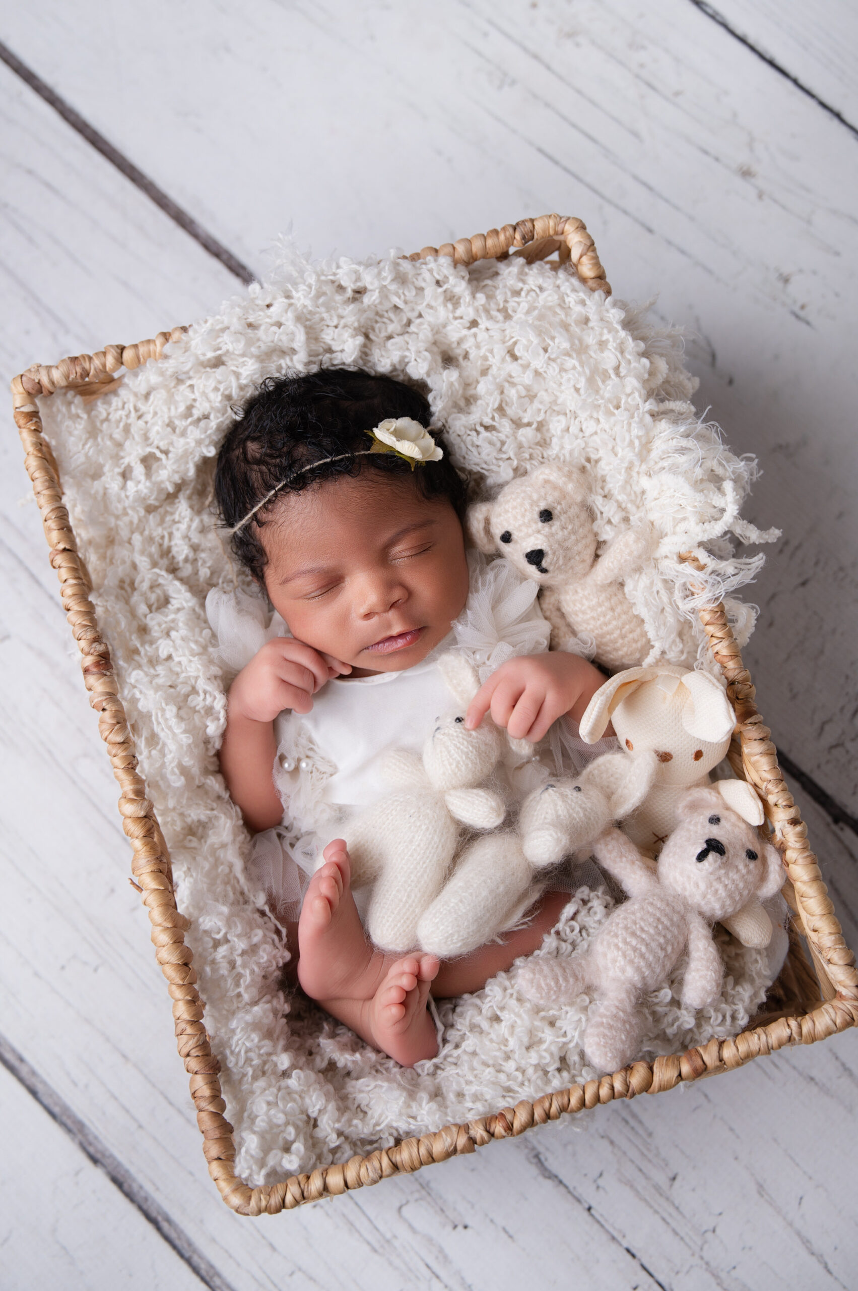 newborn photography pretoria029