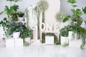 whiteandgreencakesmash