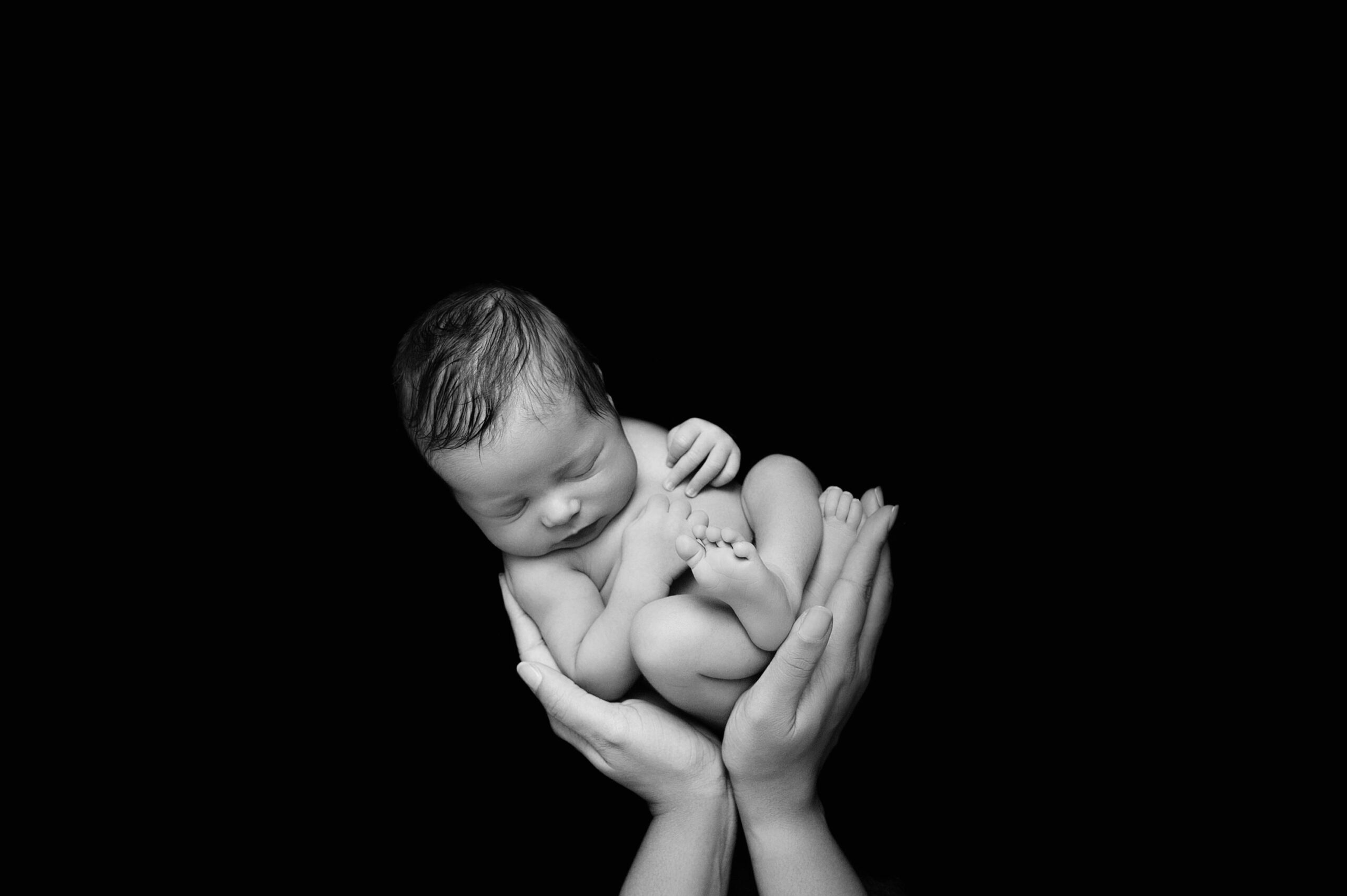 Studio portrait of newborn cradled in parent’s hands